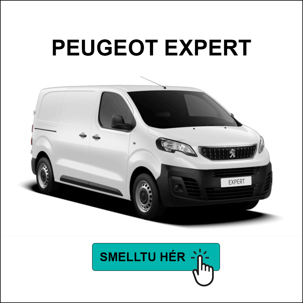 Peugot Expert