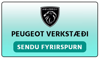 Peugeot verkstæði