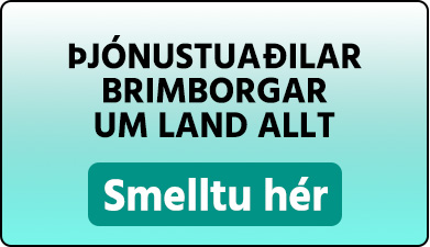 Þjónustuaðilar